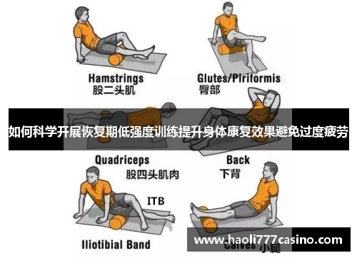 如何科学开展恢复期低强度训练提升身体康复效果避免过度疲劳