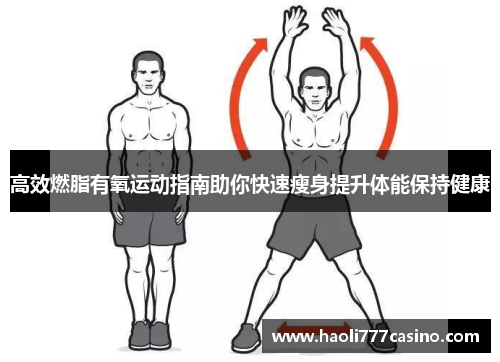 高效燃脂有氧运动指南助你快速瘦身提升体能保持健康